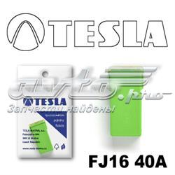 FJ16 40A Tesla fusible