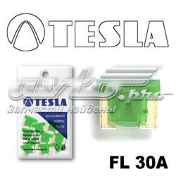 FL 30A.10 Tesla fusible