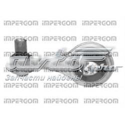 Soporte de motor trasero 25751 Impergom