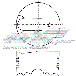 Pistón completo para 1 cilindro, STD 43241ASTD Teikin