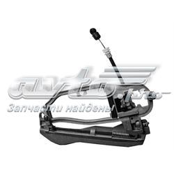 Soporte de manija exterior de puerta delantera derecha Trucktec 0862809 precio, desde 55,40 EUR