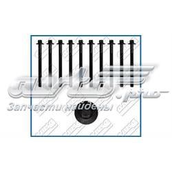 Tornillo de culata Renault Megane 3 KZ0, KZ1