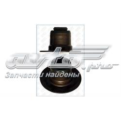 SS45909 Mahle Original