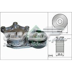 534042810 INA Tensor de correa de alternador