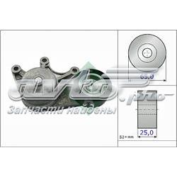 Comprar 534053510 INA Tensor de correa poli V 
