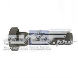 Tornillos para ruedas Diesel Technic 520201 precio, desde 6,50 EUR