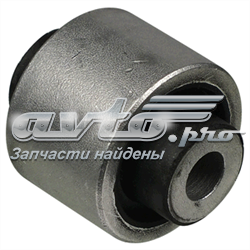 Buje de mangueta trasera TD895W Delphi