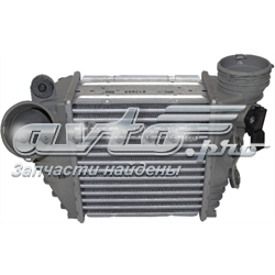 5339 JP Group