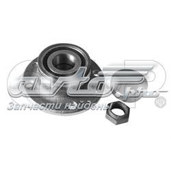 Cubo de rueda trasero 9230046K GSP