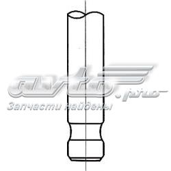 PREN001 AMP/Paradowscy