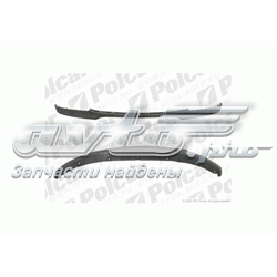 200125 Polcar