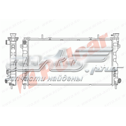 242008-1 Polcar radiador refrigeración del motor