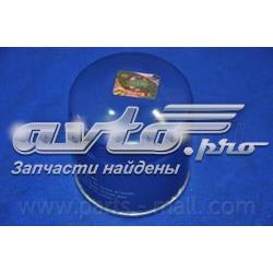 Filtro de combustible PCF006 Parts-Mall
