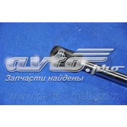 Amortiguador maletero PQA219 Parts-Mall