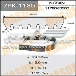 7PK1135 Masuma correa trapezoidal