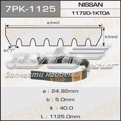 7PK1125 Masuma correa trapezoidal