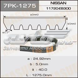 7PK1275 Masuma correa trapezoidal