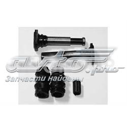 BS2313 DP Group