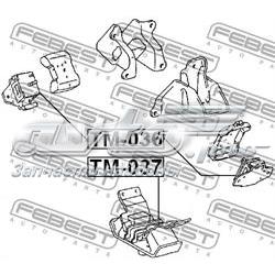 TM037 Febest montaje de transmision (montaje de caja de cambios)