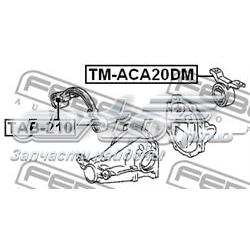 TM-ACA20DM Febest silentblock, soporte de diferencial, eje trasero, trasero
