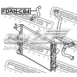 Manguera refrigerante para radiador inferiora FDAHCB4 Febest