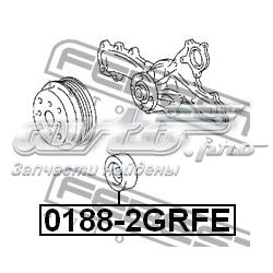 Polea inversión/guía, correa auxiliar servicios Febest 01882GRFE precio, desde 19,21 EUR