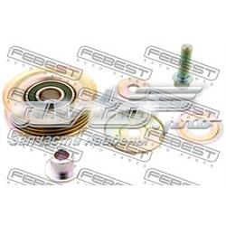 YM173131 A.b.a Polea tensora