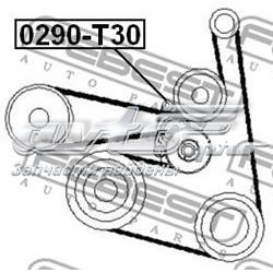 Comprar 0290T30 Febest Tensor de correa poli V 
