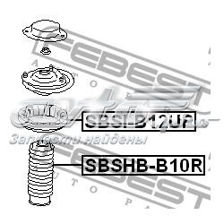 Caperuza protectora/fuelle, amortiguador trasero SBSHBB10R Febest