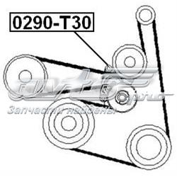 Tensor de la correa trapecial poli v Febest 0290T30