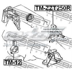 TMZZT250R Febest soporte de motor trasero