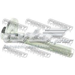 Perno de fijación interior del brazo oscilante inferior trasero 2529001 Febest