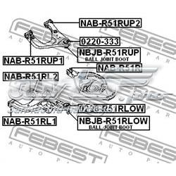  Febest 0220R51RLOW