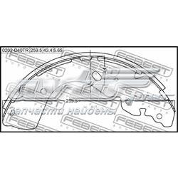 0202-D40TR Febest zapatas de frenos de tambor traseras