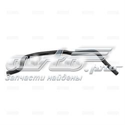 25152 Rapro