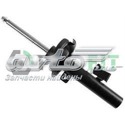 Comprar RS313287 Raiso Amortiguador delantero derecho