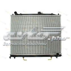 Radiador de água Thermotec D75012TT