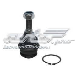 Rótula de suspensión superior Asam 70756 precio, desde 11,95 EUR