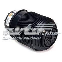 A2791 Arnott Bolsa de aire del eje trasero