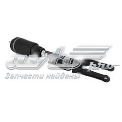 AS2792 Arnott Amortiguador frontal
