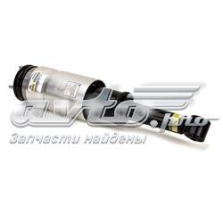 Amortiguadores Arnott AS2809 precio, desde 179,77 EUR