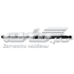 Amortiguador de maletero Peugeot 307 3H