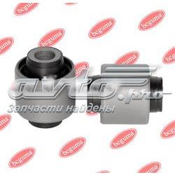 BC1707 Bcguma 