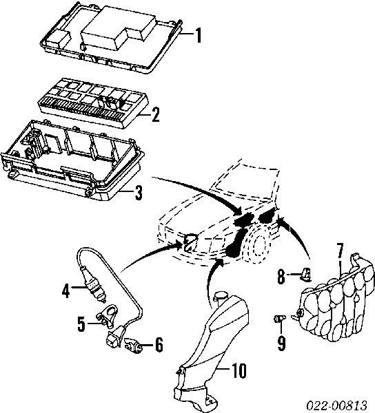 431820667 Lamborghini