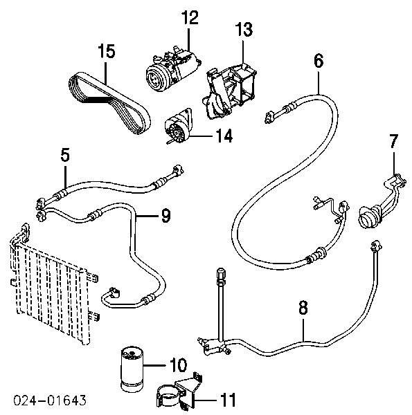 64536904535 BMW