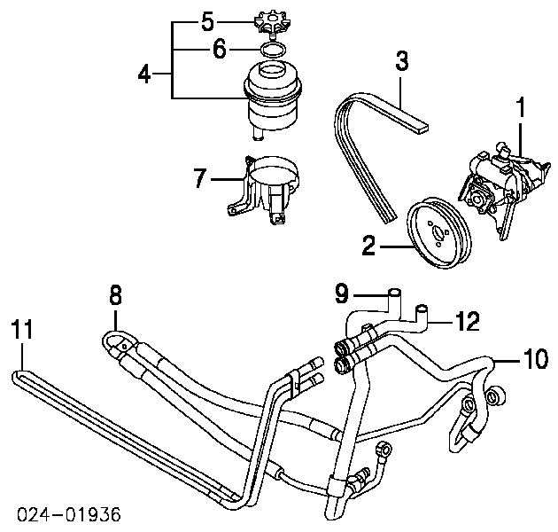 Manguera hidráulica, dirección, de mecanismo dirección a radiador 32411096348 BMW