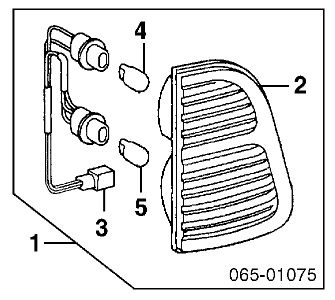 8158160040 Toyota piloto posterior interior derecho