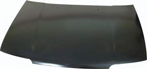 Capó del motor Prasco DS1743100 precio, desde 155,36 EUR