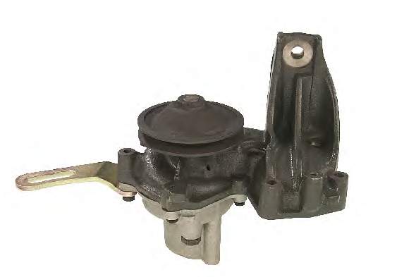 S144 Dolz 