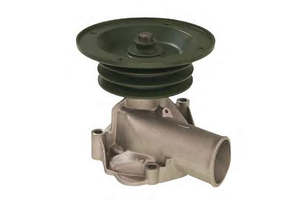 240079 Metelli